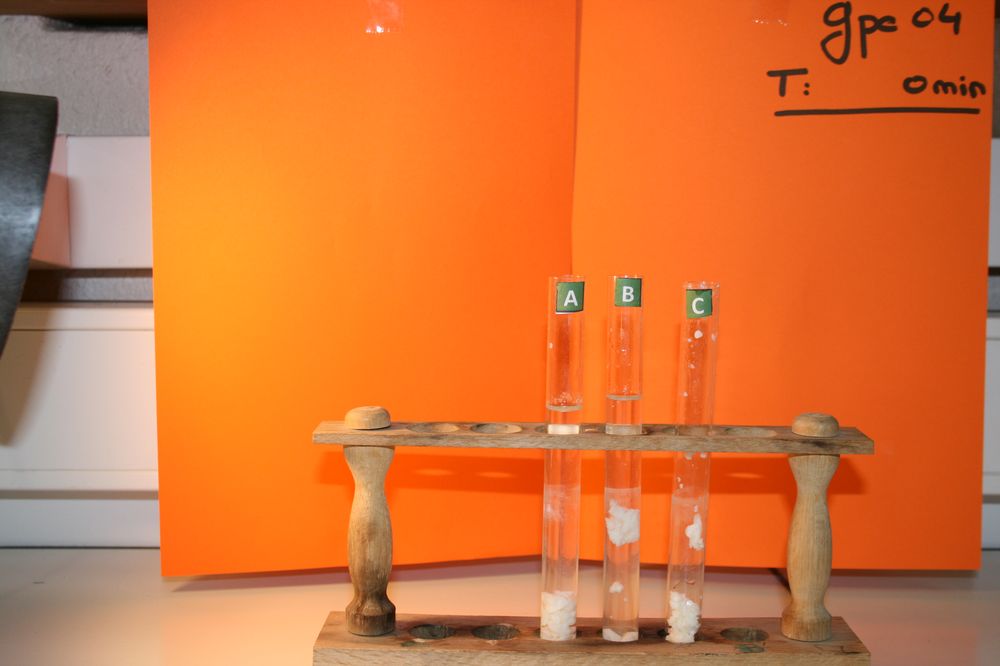 gal/LES_CINQUIEMES/ACTIVITE DIGESTION IN VITRO/Groupe_04/Groupe04_T_00h00min/Groupe04_T_00h_00min_12.JPG